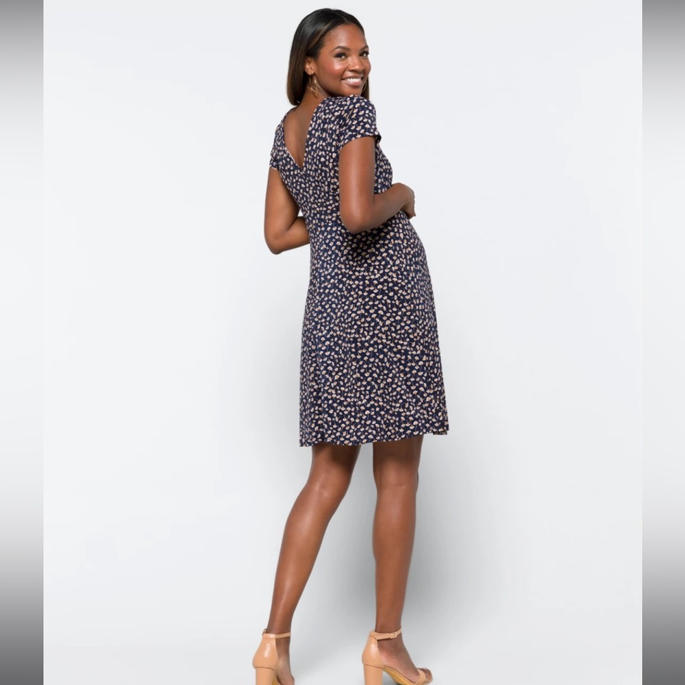 Kaleigh Maternity and Nursing Dress